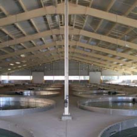 cleghorn-3-c495faba50bd.jpg